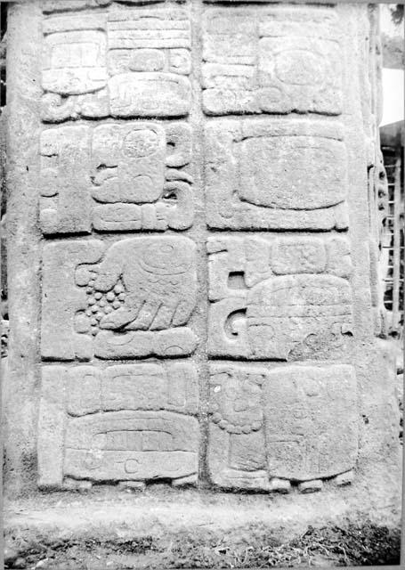 Stela C, west side glyphs