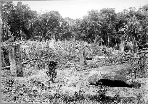 General view- Structure 3, showing Stelae A, C, D and Zoomorph D