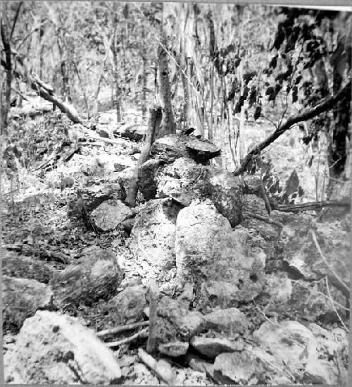 Corral like wall probably of house lot or solar-dry stone