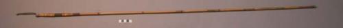 Fighting arrow - bamboo shaft; palm wood point bound with yellow & red fiber