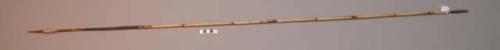 Fighting arrow - bamboo shaft; palm wood point with barbs bound on