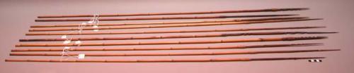 Arrows, single pronged, barbed bamboo with hard wood tips