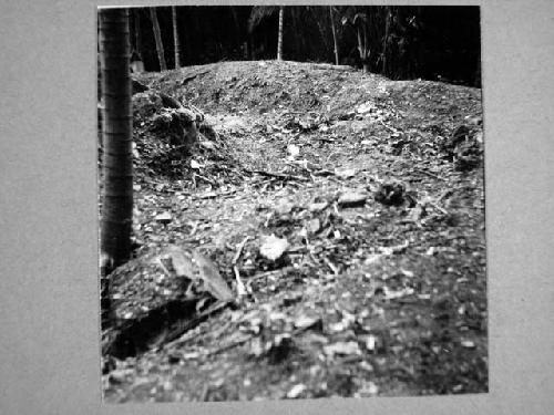 Temple mound. Upper part Southwest corner before excavations