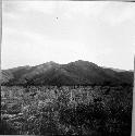 Cahyup hill from ear field in Rabinal.