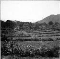 Ruins of Chanchicupe in Tajumulco Valley- and views of environment.