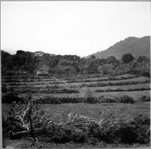 Ruins of Chanchicupe in Tajumulco Valley- and views of environment.