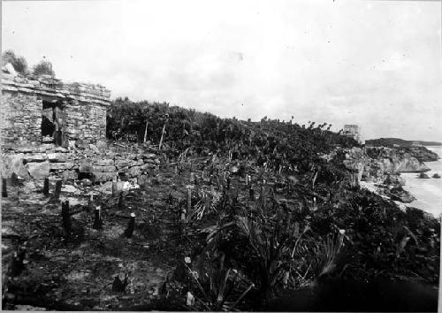 Temple 54 and Castillo looking North