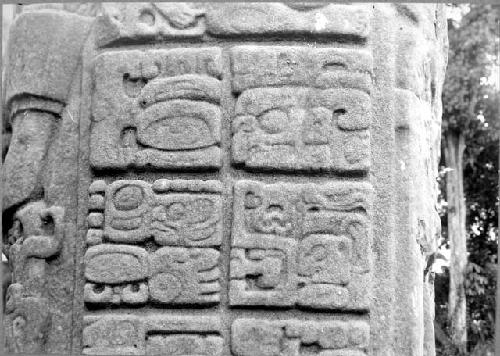 Stela D, West side