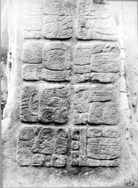 Stela C, right side glyphs