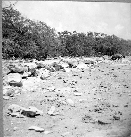 Calzada crossing a bajo or aguada