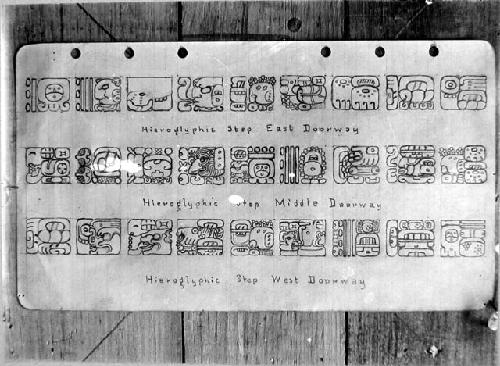 Copy Morley's sketch of hieroglyphic steps,east, middle and west doorways, Str.1