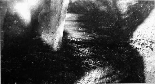 Exploration trench at foot of temple mound. Foreground: vessel 10