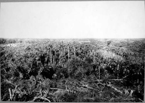 Panorama to North and West from roof of Temple 45