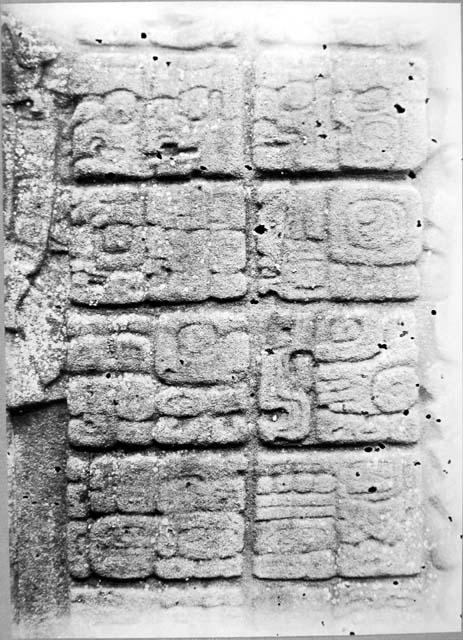 Stela F, west side glyphs (2)