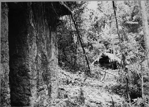 Structure 3. Northwest corner looking west to thatch shelter in front of Structu