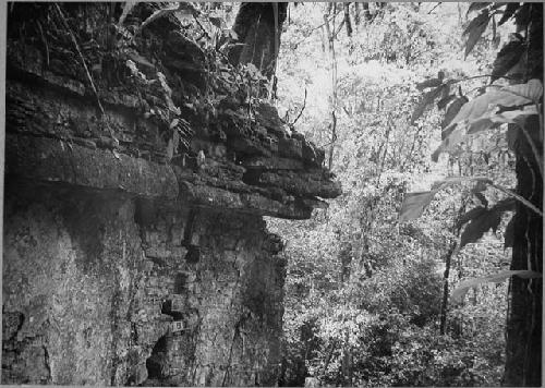 Structure 3. Rear, southeast corner.