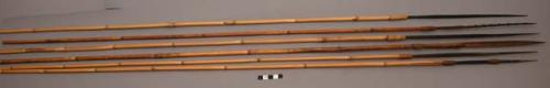Bamboo arrows with carved tips (approx. 47")