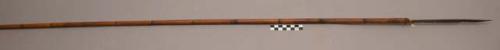 Bamboo arrow ("pom") with hardwood point used for birds, kangaroos