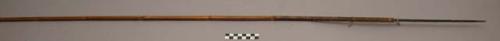 Bamboo arrow ("pom") with single tanged hardwood point. Used for large birds.