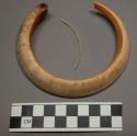 Perforated boar's tusk