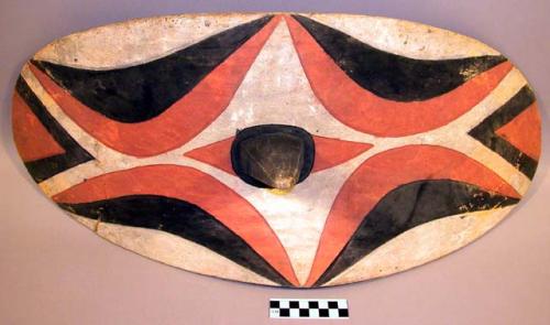 Shield, curved oval, conical projection center, incised and painted, handle back