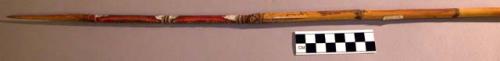 Spear, 43 in. l, bone tip, top of shaft carved, and painted red.