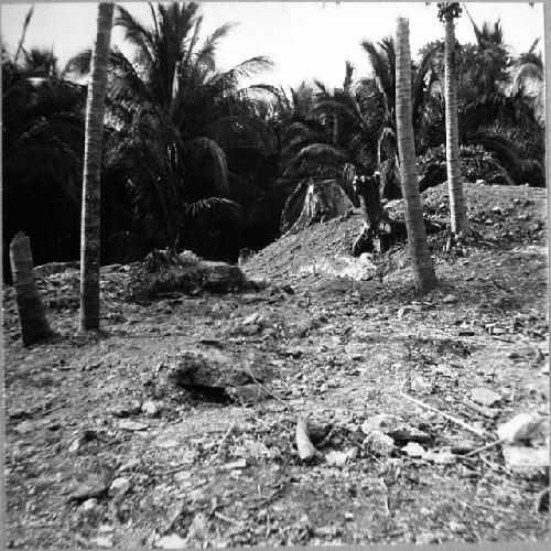 Temple mound. Top, seen from SE after excavated parts had been closed