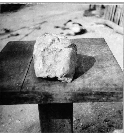 Stucco head fragmented, found on temple mound (see photo 53-21-28)