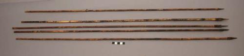 Bleeding arrows (moli) with bow # 4549 for letting blood of ill man