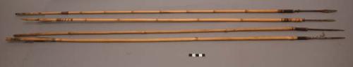 Bamboo arrows with iron saw-toothed heads