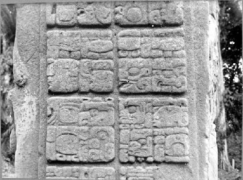 Stela D, west side