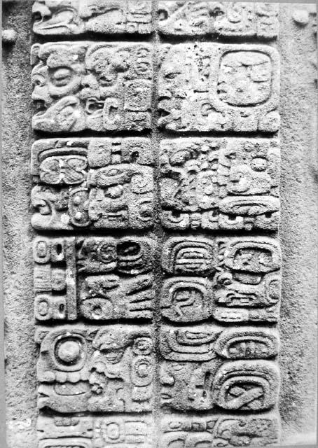 Stela F, east side glyphs (2)