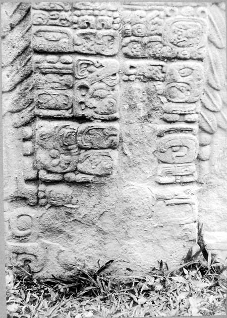 Stela F, east side glyphs (5)