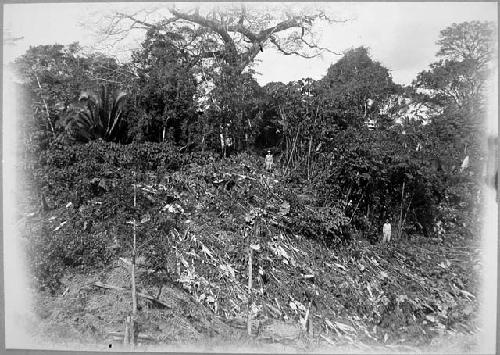 Structure 5 before excavation