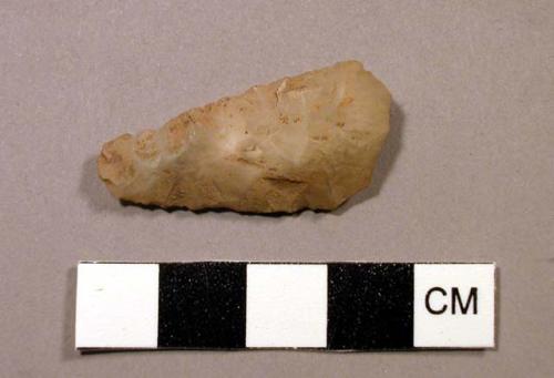 Worked flint fragments (spearhead)