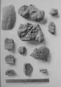 Burned adobe frags. showing imprints of corncob, rope, potter vessels, leaves,