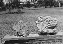 Lt. - a roof adorno. Rt. - tenoned serpent head - length of head 29 cm.