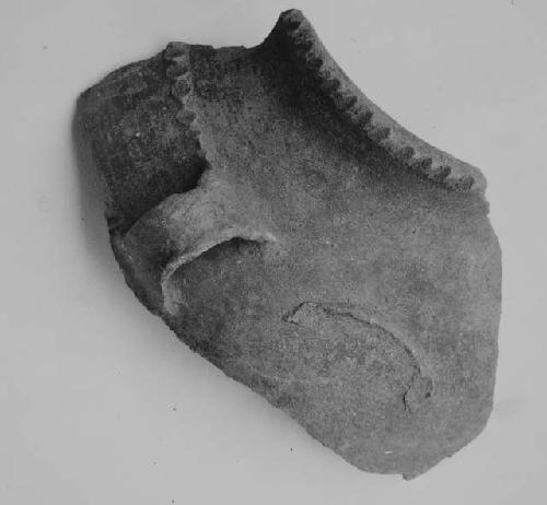 Fragments of: large swollen-cheek, brown-black fine incised, face semi-effigy ja