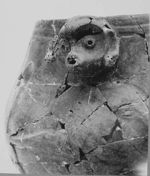 Head of black-brown effigy pot, close-up.