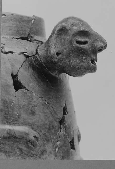 Head of black-brown effigy pot, close-up.