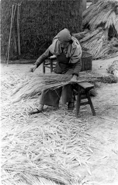 Woman preparing hay