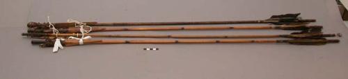 Bamboo tipped arrows