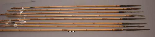 Bamboo arrows with iron heads