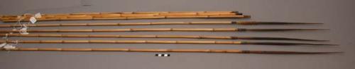 Bamboo arrows - carved tips (51")