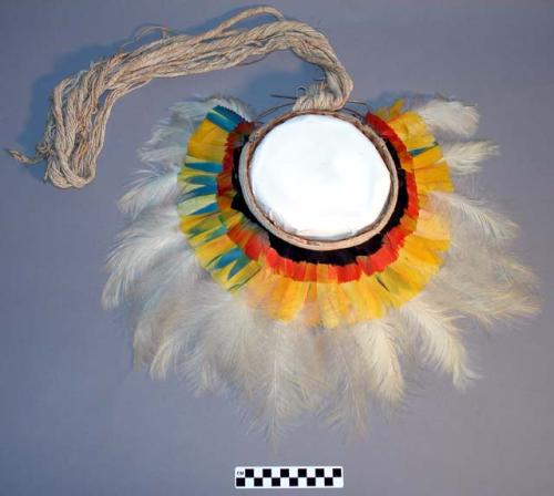 Feather headdresses and frames