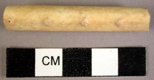 Fragmentary bone tube