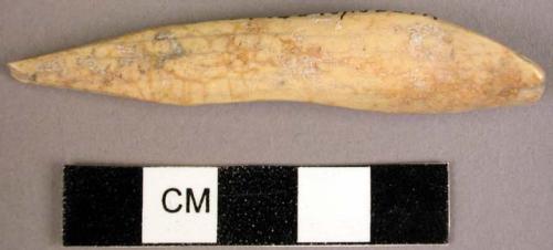 Worked bone point