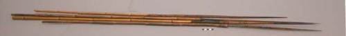 Long arrows of bamboo shafts and wooden points with black tips and +
