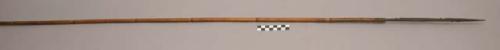 Bamboo arrow ("pom") with hardwood point used for birds, kangaroos