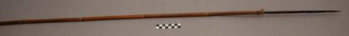 Bamboo arrow ("pom") with single tanged hardwood point. Used for large birds.